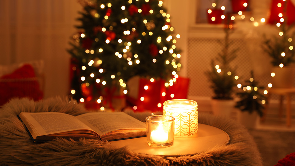 Christmas, year-end book recommendations by members of the Endowus Investment Office and Client Advisory team